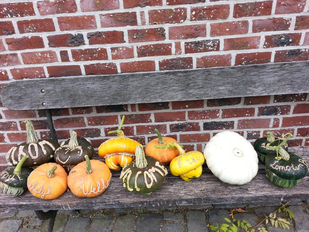 B&B Lomolen Aalter Eksteriør billede