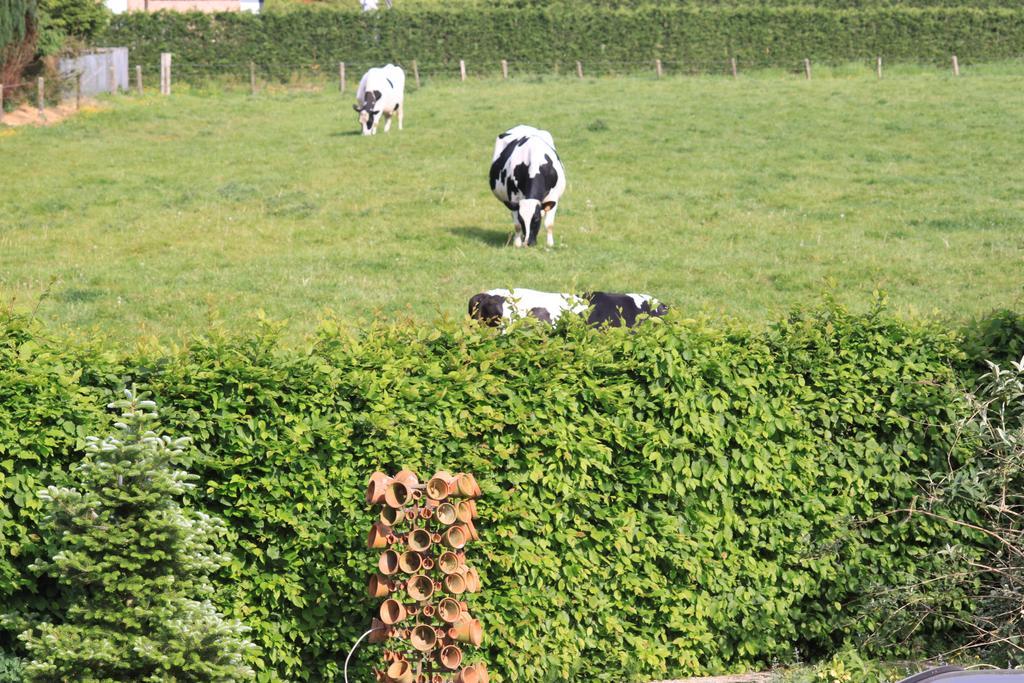 B&B Lomolen Aalter Eksteriør billede